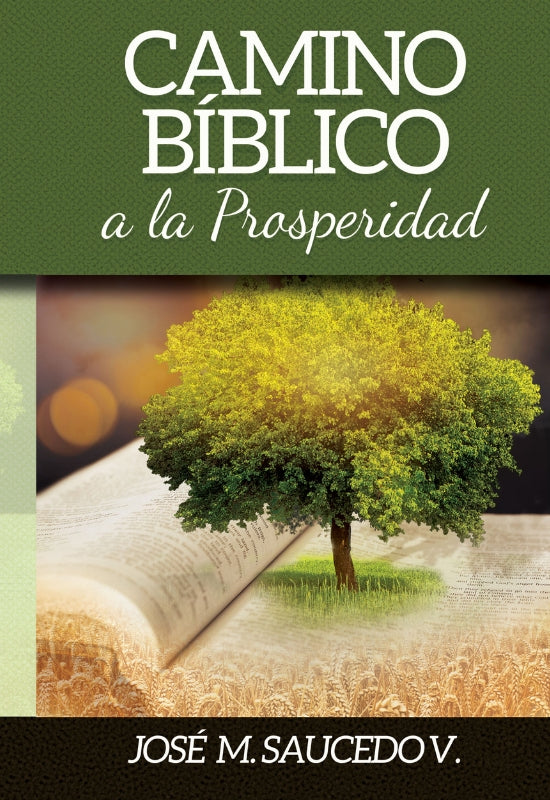 Camino Bíblico a la Prosperidad